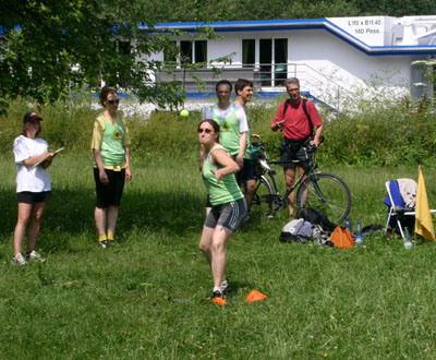 05_Sunflowers-Connection