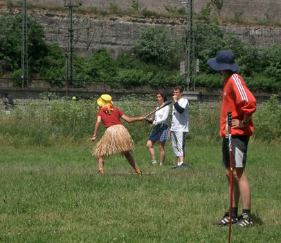 07_Sunflowers_Siebold5